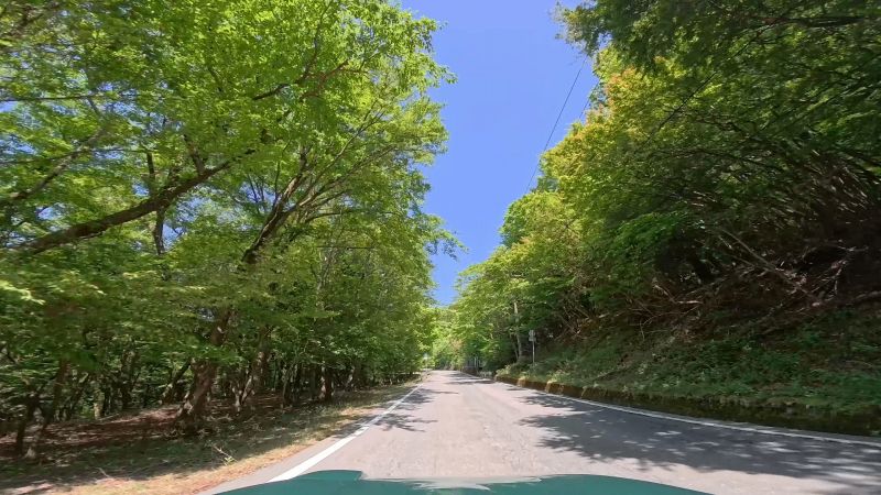 遠笠山道路
